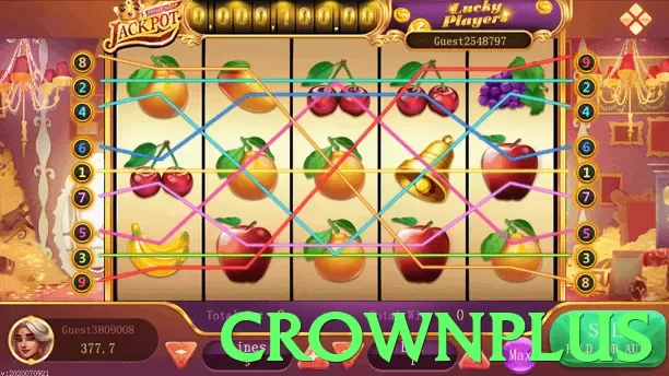 crownplus Pakistan - 3